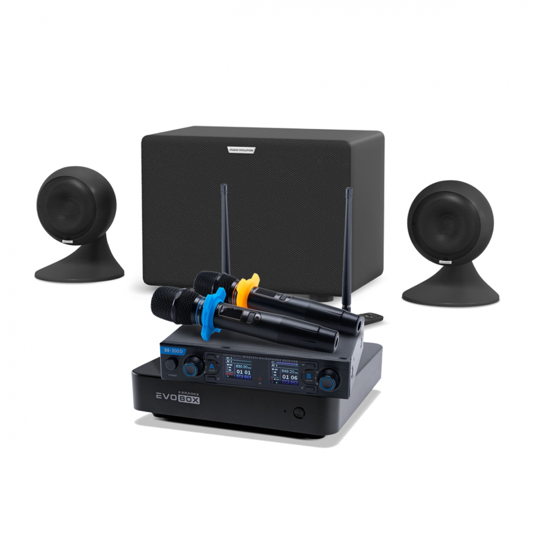 караоке-комплект EVOBOX + EvoSound Sphere 2.1 в Никольске