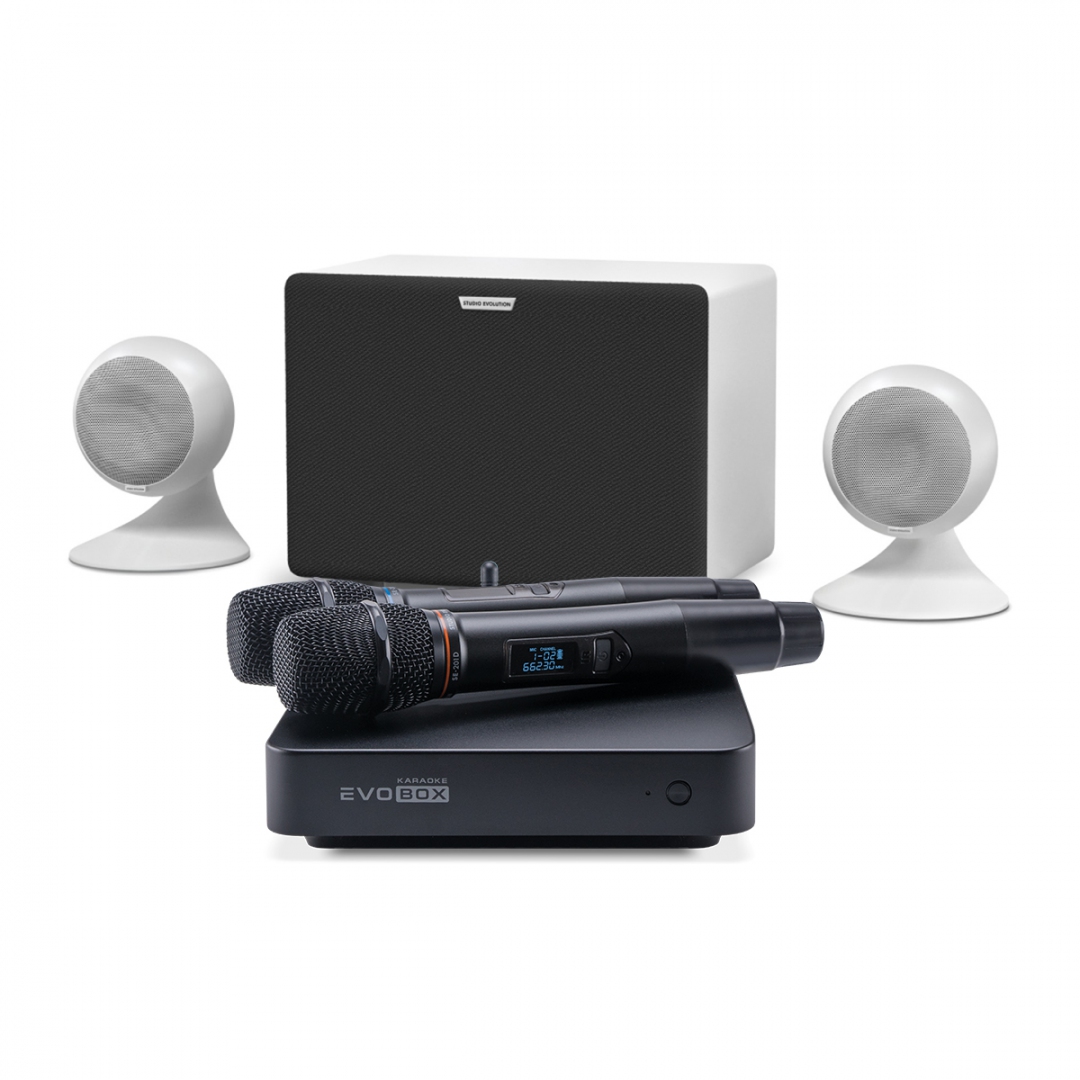 караоке-комплект EVOBOX Classic + EvoSound Sphere 2.1 в Никольске
