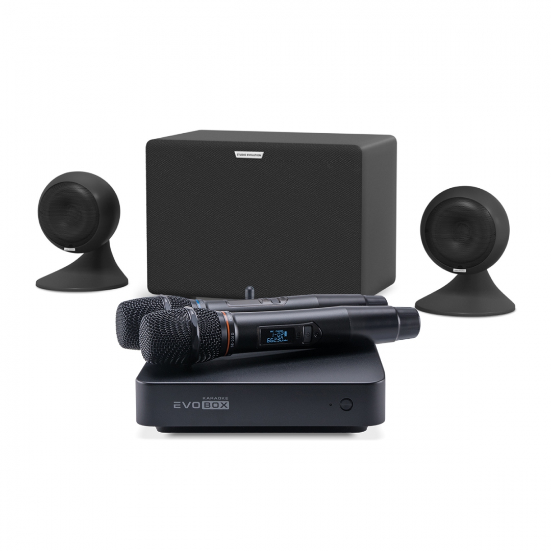 караоке-комплект EVOBOX Plus + EvoSound Sphere 2.1 в Никольске