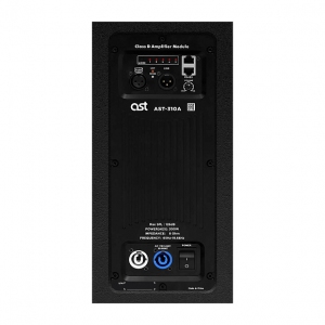 Активная акустическая система AST-310A в Никольске