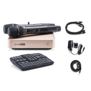 EVOBOX Classic караоке-система для дома в Никольске