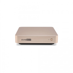 EVOBOX с микрофонами в Никольске